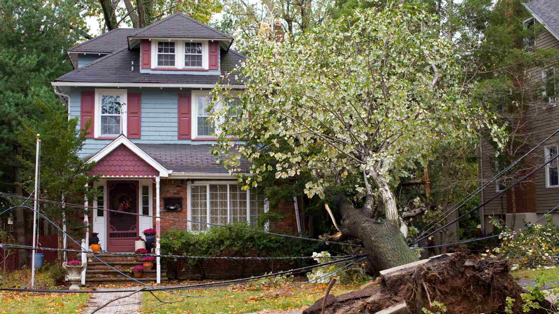 a tree fallen onto a home