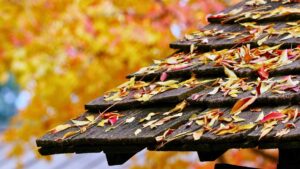 michigan roof lifespan Close-up of a wooden roof covered with scattered autumn leaves, with blurred yellow and orange foliage in the background.