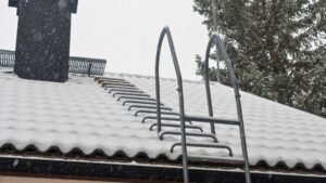 michigan frost roof damage A metal ladder is fixed to a snow-covered roof, with a chimney and trees visible in the background during snowfall.