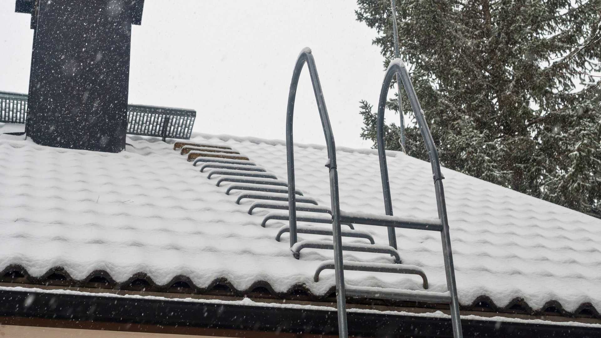 michigan frost roof damage A metal ladder is fixed to a snow-covered roof, with a chimney and trees visible in the background during snowfall.